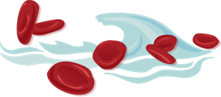 Palliativmedizin Rote Blutkörperchen schwimmen in Plasma